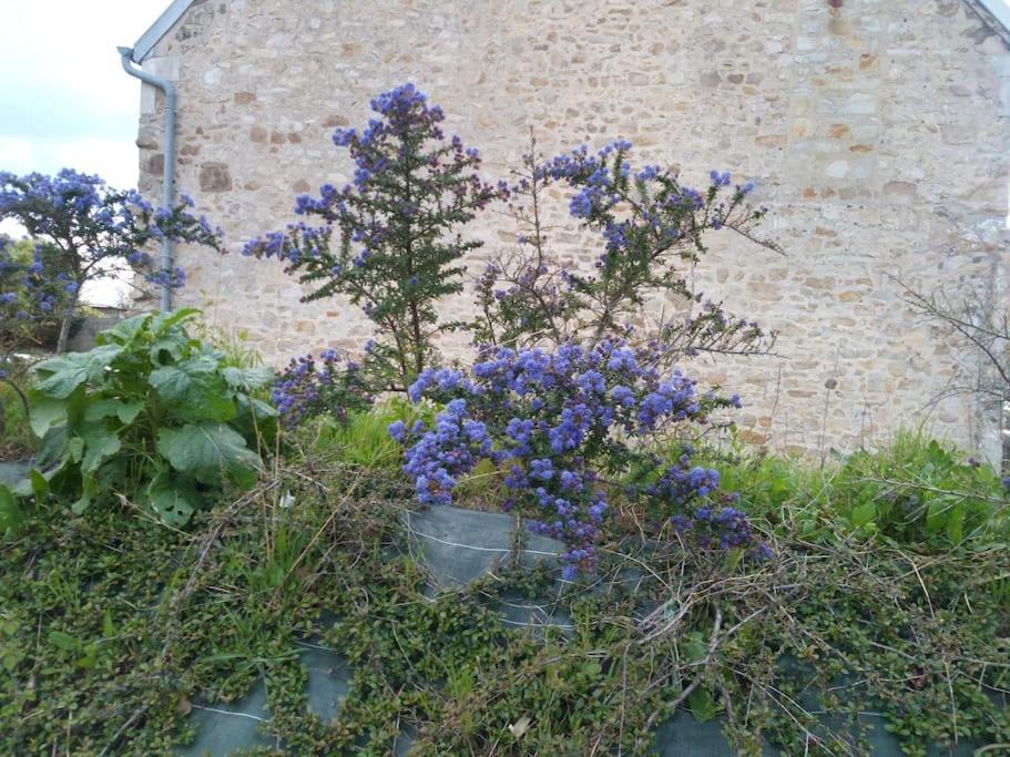Maison Bord De Mer Individuel Gouville-sur-Mer ภายนอก รูปภาพ